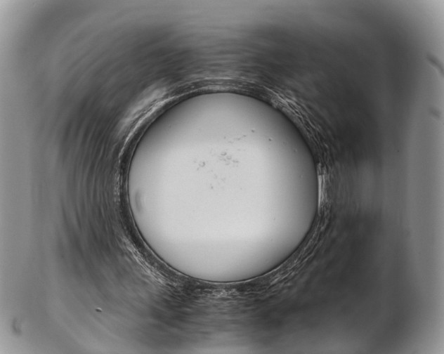 X0000103140243200808221110