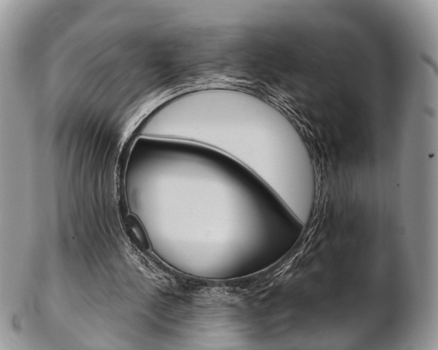 X0000103140244200808221110