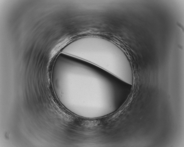 X0000103140245200808221110