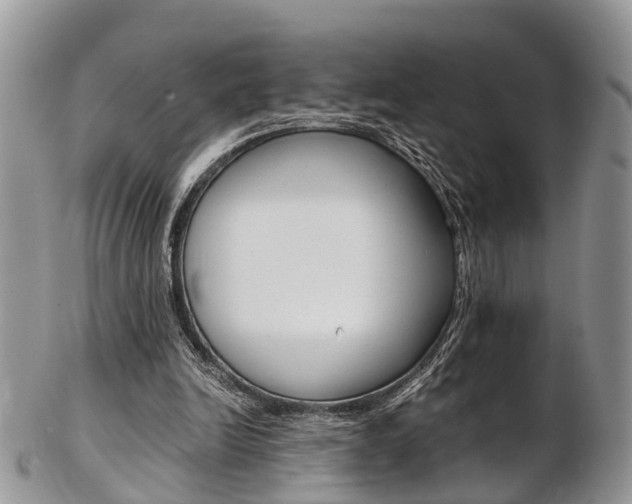 X0000103140246200808221110