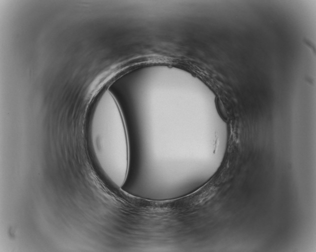 X0000103140247200808221110