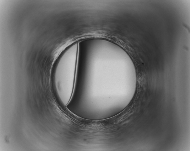 X0000103140248200808221110