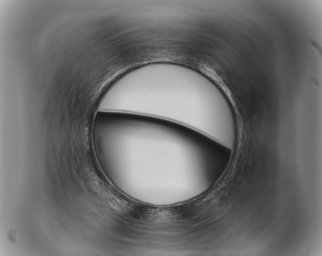 X0000103140249200808221110