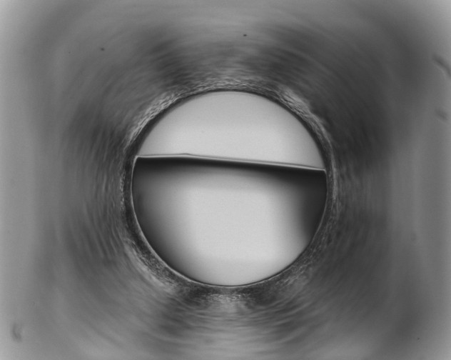 X0000103140250200808221111