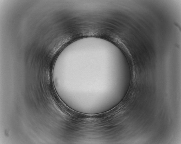 X0000103140251200808221111