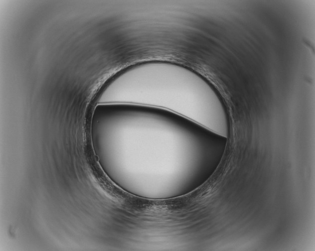 X0000103140252200808221111