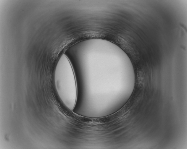 X0000103140255200808221111