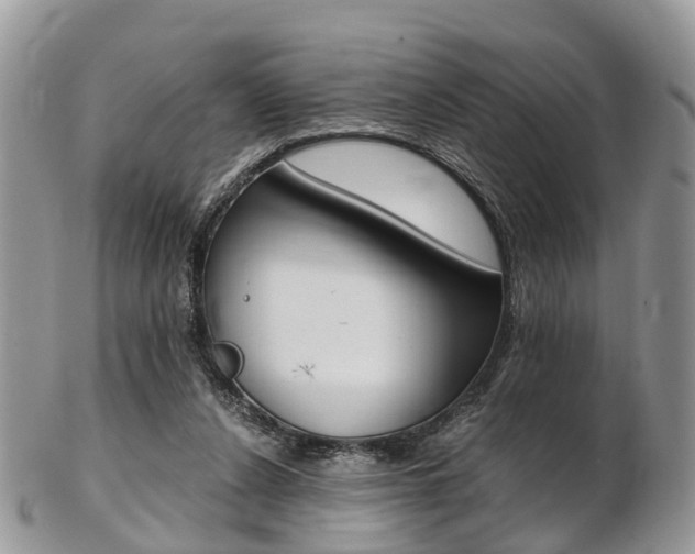 X0000103140256200808221111