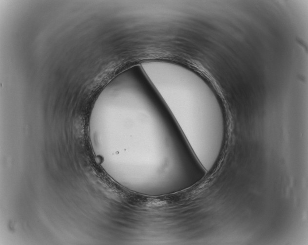 X0000103140257200808221111