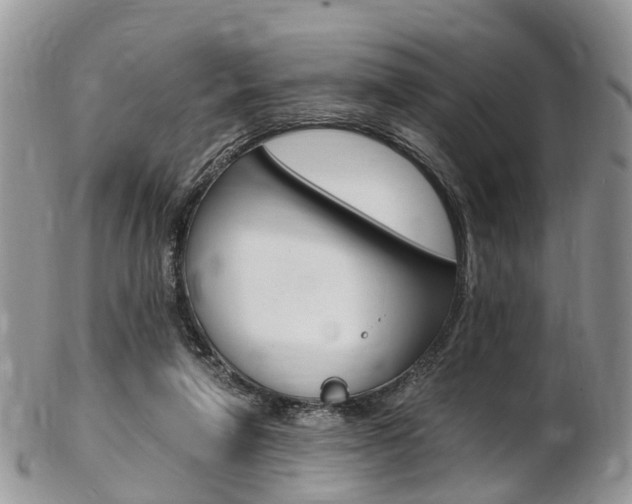 X0000103140258200808221111