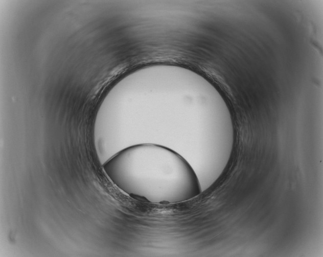 X0000103140260200808221111