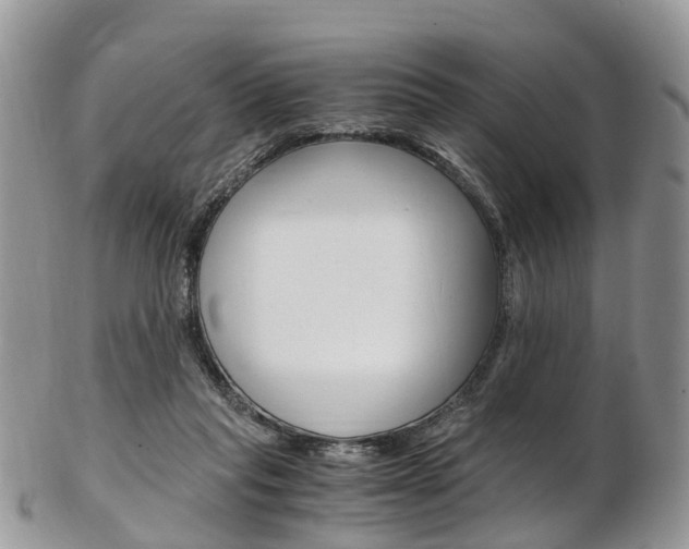 X0000103140261200808221111