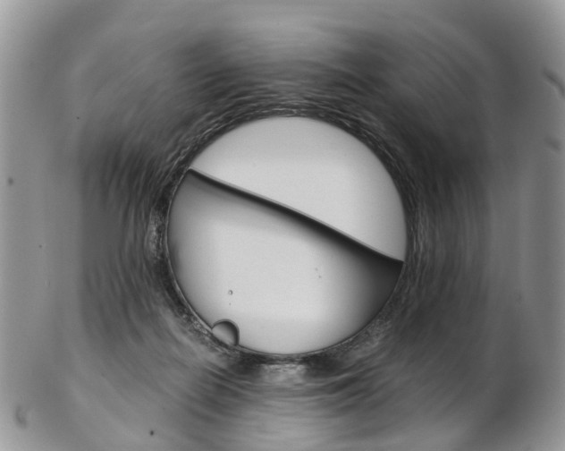 X0000103140266200808221111