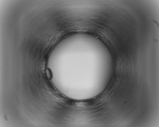 X0000103140268200808221111