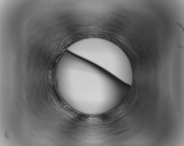 X0000103140270200808221111