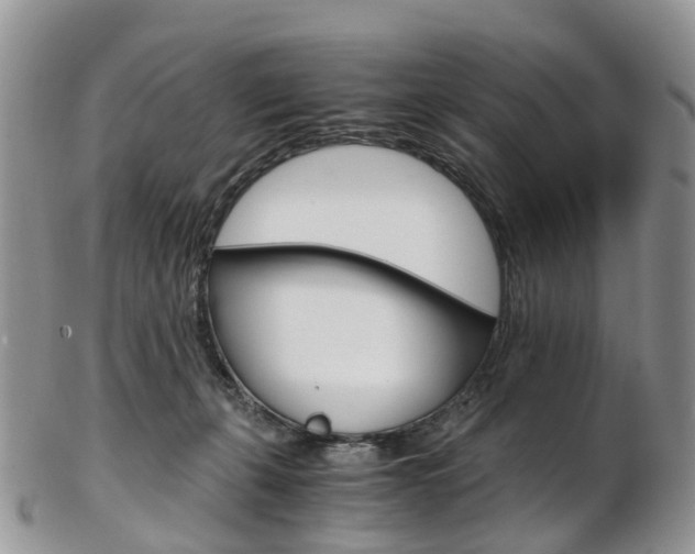 X0000103140271200808221111