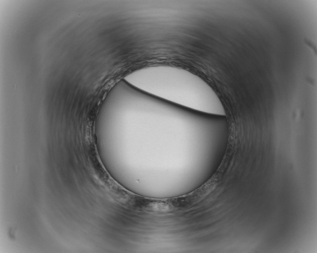 X0000103140272200808221111