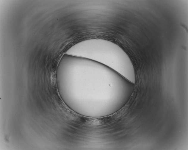 X0000103140276200808221111