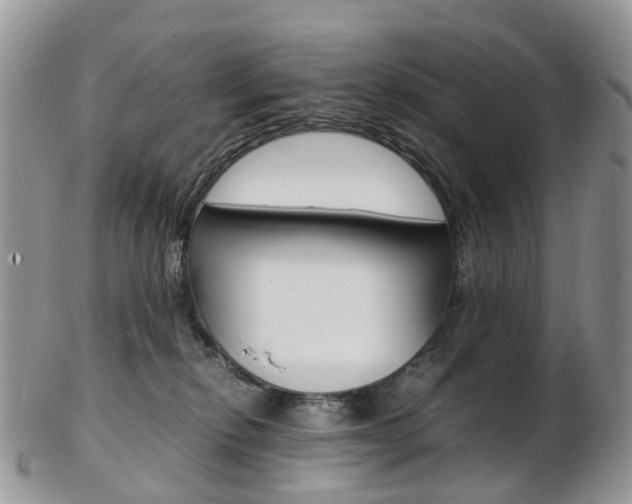 X0000103140278200808221111