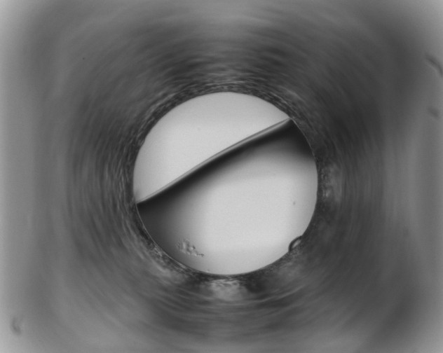 X0000103140279200808221111