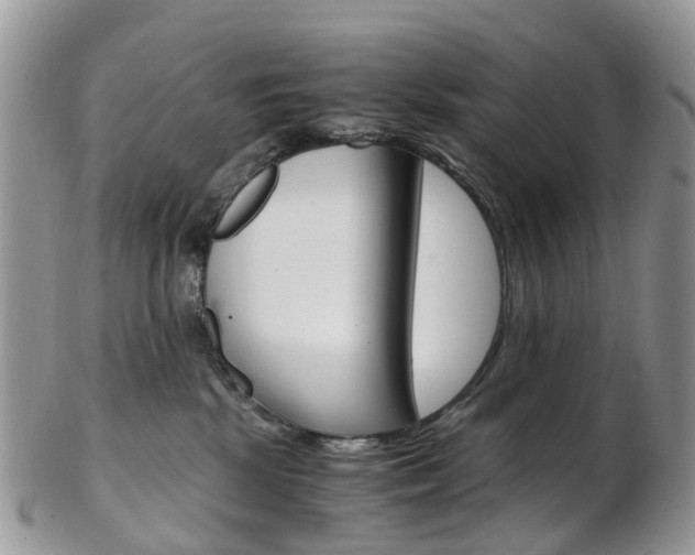 X0000103140281200808221111