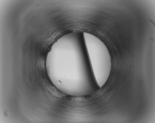 X0000103140282200808221111