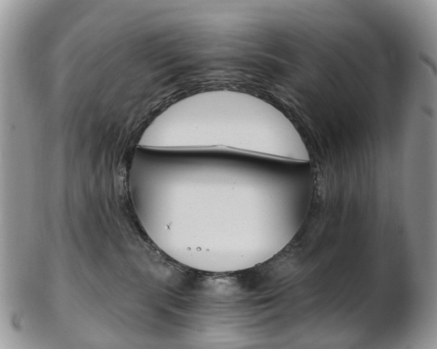 X0000103140283200808221111