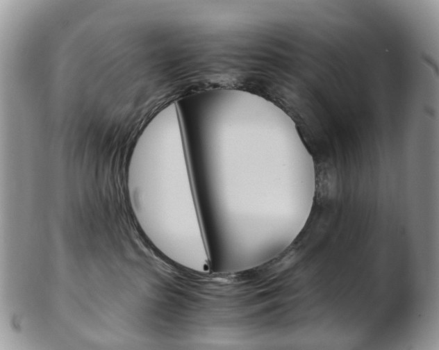 X0000103140285200808221111