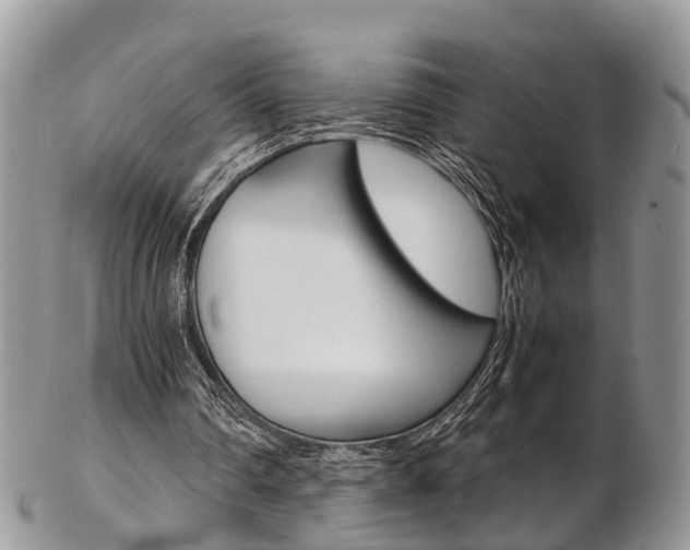 X0000103140290200808221110