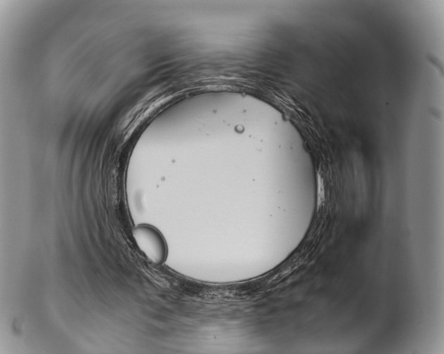 X0000103140291200808221110