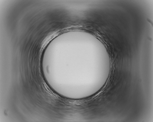 X0000103140293200808221110