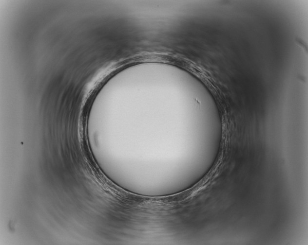 X0000103140294200808221110