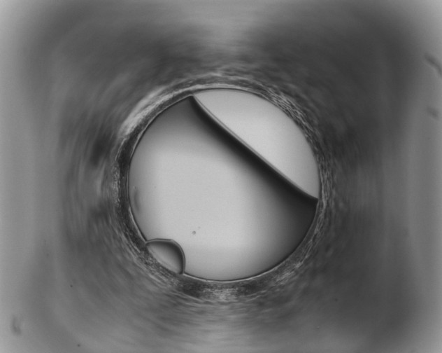 X0000103140295200808221110