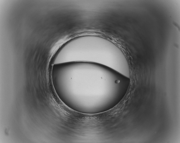 X0000103140296200808221110