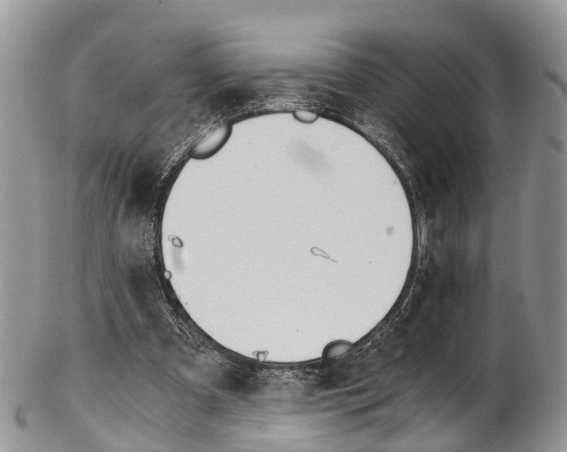 X0000103140297200808221110