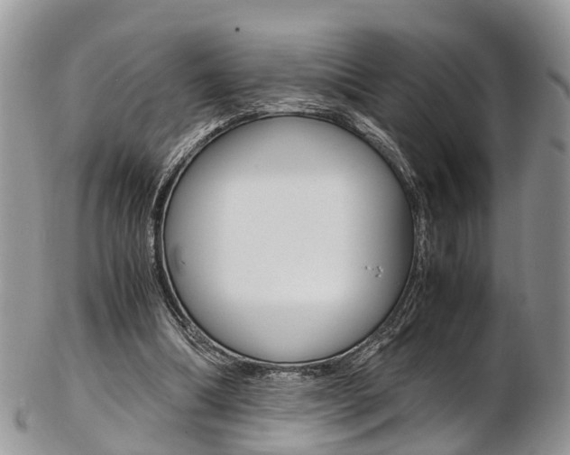 X0000103140298200808221110