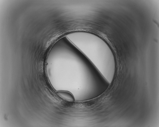 X0000103140299200808221110