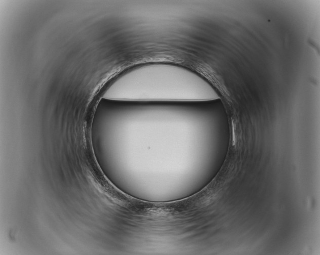 X0000103140300200808221110