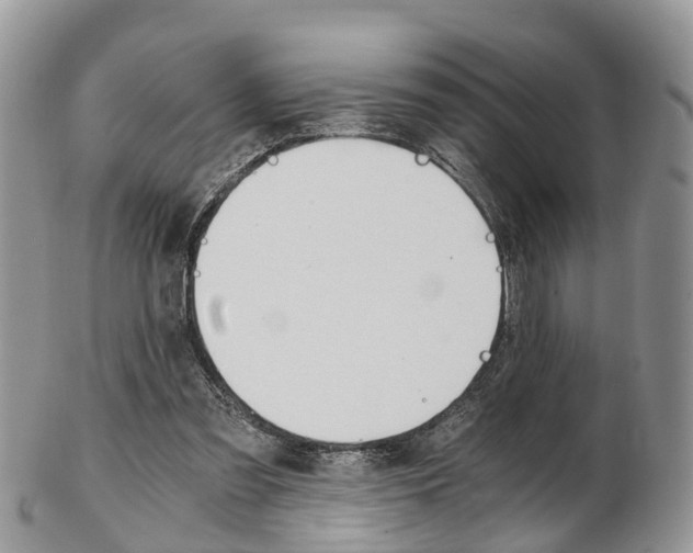 X0000103140301200808221110