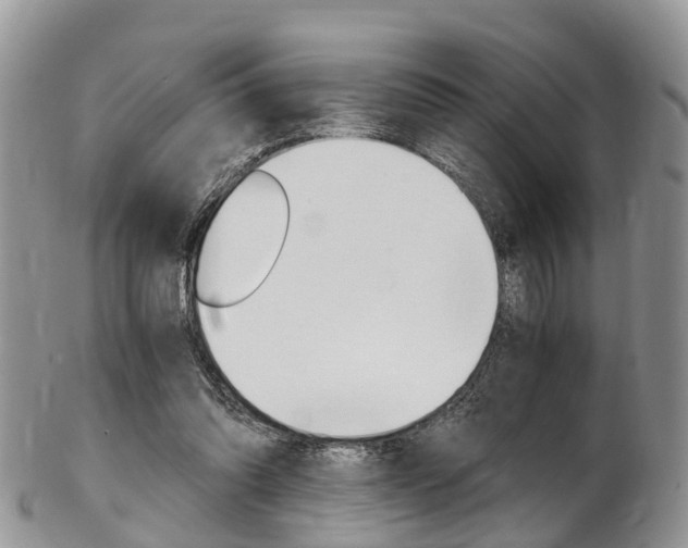 X0000103140302200808221110