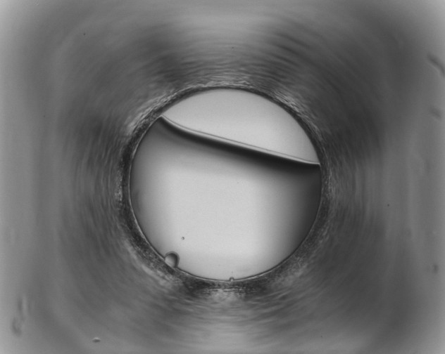 X0000103140303200808221110