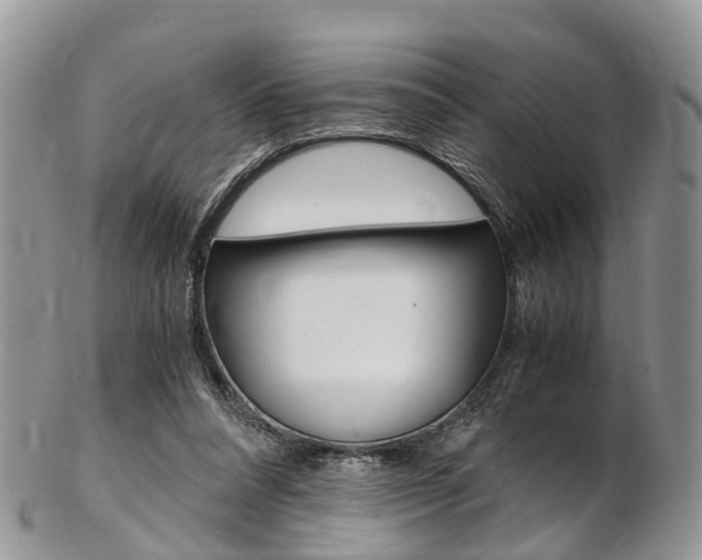 X0000103140304200808221110