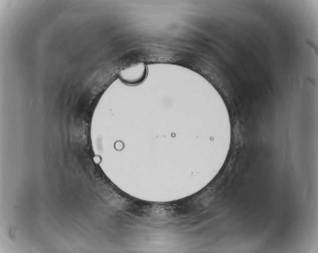 X0000103140305200808221110