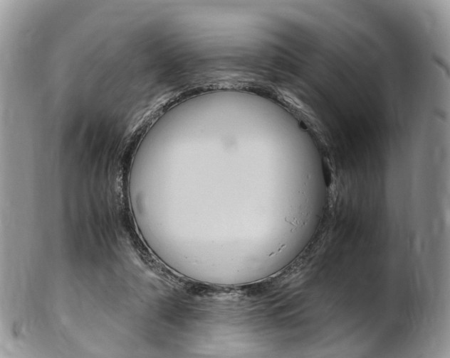 X0000103140306200808221110