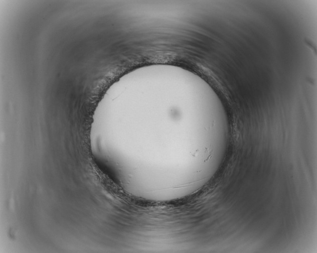 X0000103140307200808221110