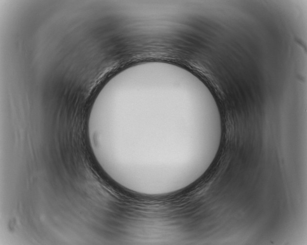 X0000103140308200808221110