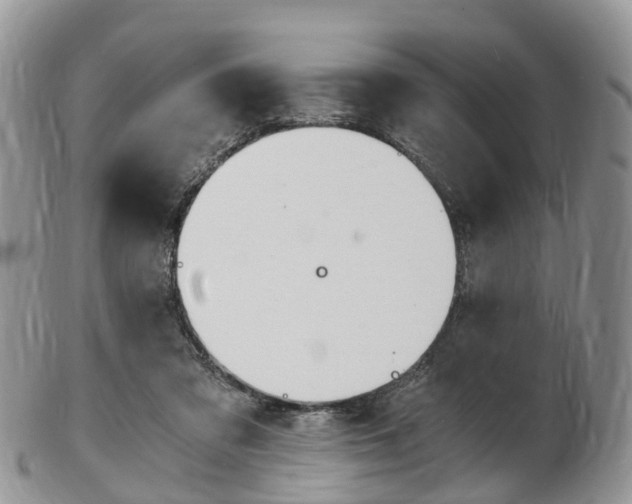 X0000103140309200808221110