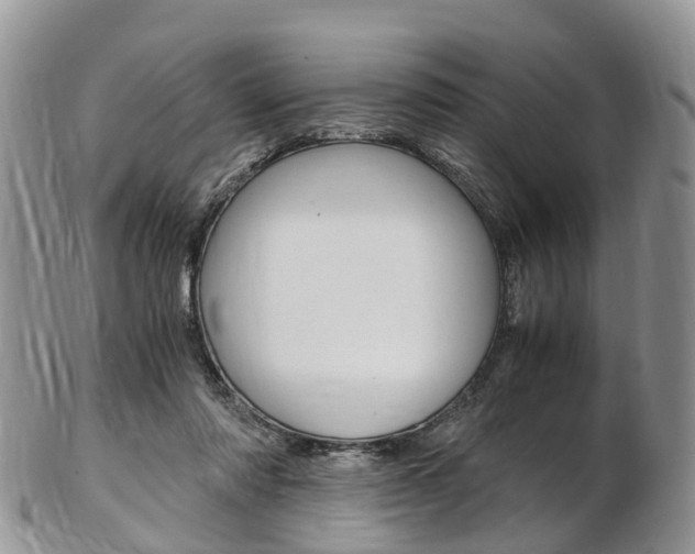 X0000103140310200808221110