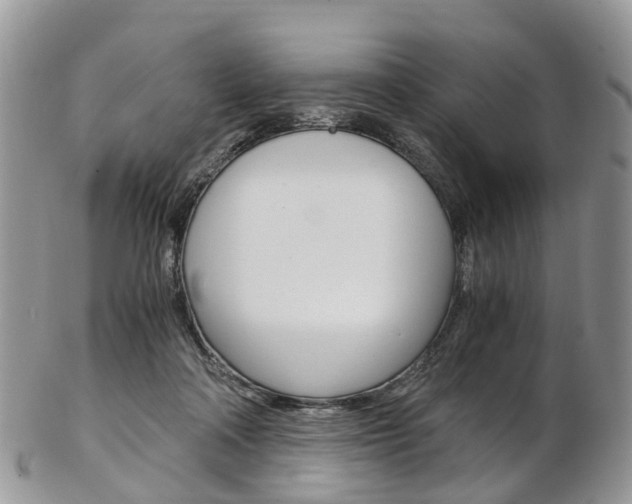 X0000103140314200808221110