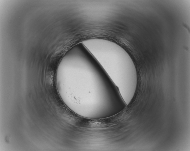 X0000103140315200808221110